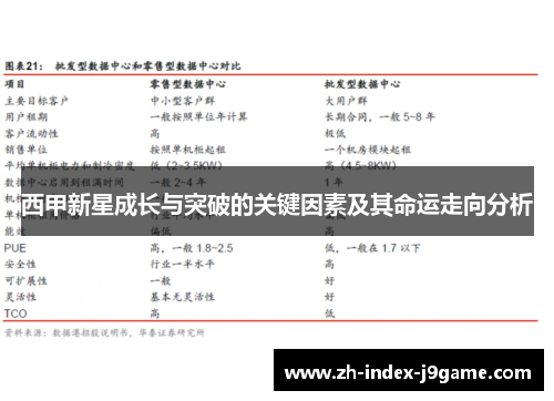 西甲新星成长与突破的关键因素及其命运走向分析